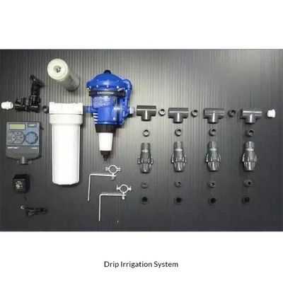 Hydroponic Vertical Self Watering Artificial Green Wall System for Greening Projects