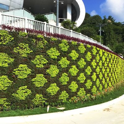 Hydroponic Vertical Self Watering Artificial Green Wall System for Greening Projects