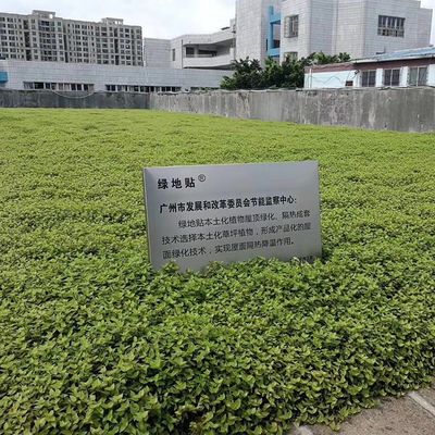 Seed Plant Tray for Everyday Season and Flower/Green Plant in Rooftop Decoration