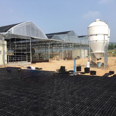 Durable Grassland Stabilization Plastic Grid for Long-Lasting Ground Stabilization