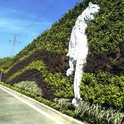 Vertical Moss Garden Green Plant Wall Panel Finishing Not Coated Per square meter 4