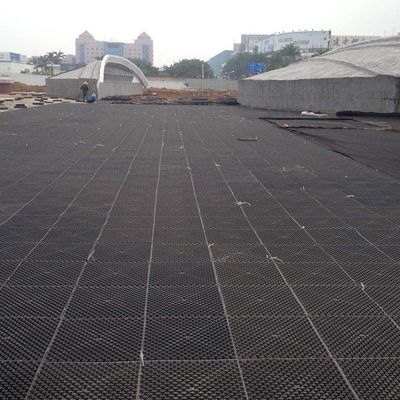 Interlocking HDPE Green Black Drainage Board for Water Management and Easy Installation