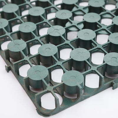 Roof Greening And Reduce Water Pressure HDPE Dimple Geotextile Membrane