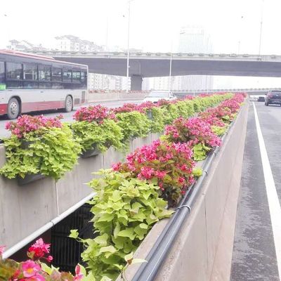 Outdoor Planting Made Hassle-Free with Self Watering Rectangular Extra Large Pot