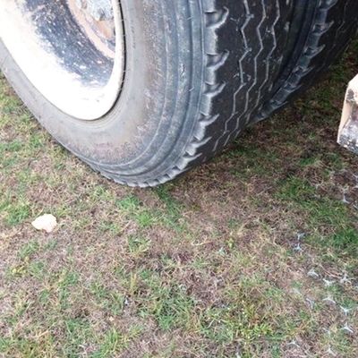 6 Quantity per square meter Plastic Grass Reinforcement for Driveway and Parking Ground