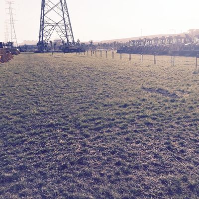 Revolutionize Your Parking Lot with Grass Parking Grid Mold Onsite Inspection Offered