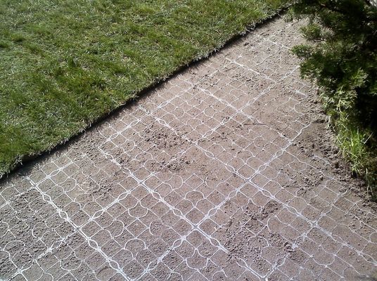 Grass Paver Grid for Horse Paddock Traditional Design and Free Spare Parts Included