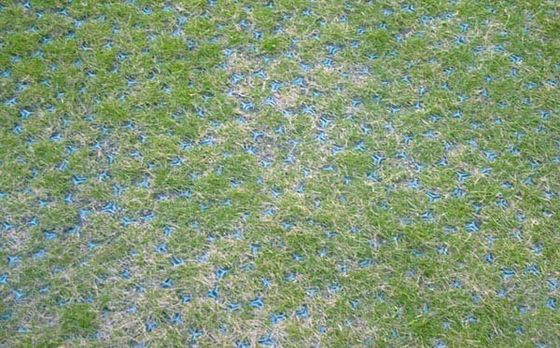 Grass Paver Grid for Horse Paddock Traditional Design and Free Spare Parts Included
