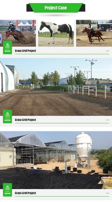 Customized Gravel Driveway Ground Reinforcement Grass Grid with Modern Style Design