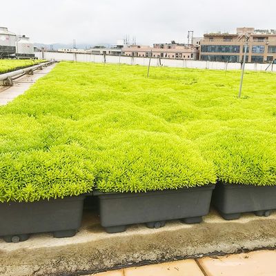 Easy to Assemble Plastic Garden Flower Pot for Decorative and Greening of Garden