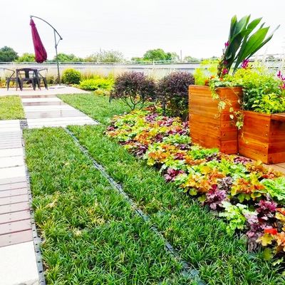 Plastic Square Assemble Green Roof Tray Systems for Sustainable Planting Solutions