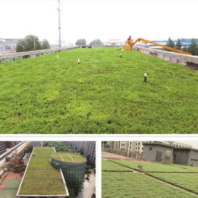 PP Material Decorative Garden Flower Pot for Manufactory Modular Green Roof Trays