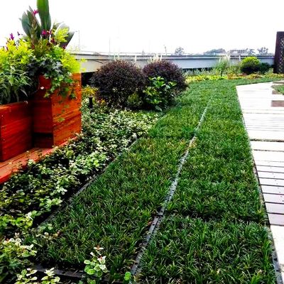 Square Shape Green Roof Modules PP Plastic Material Garden Easy Installation Planting Tray