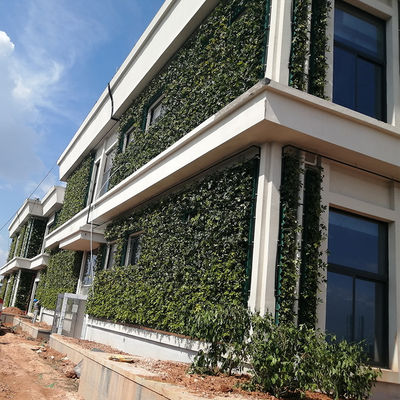 Indoor Outdoor Hanging Not Coated Vertical Wall Planters for Creative Living Spaces