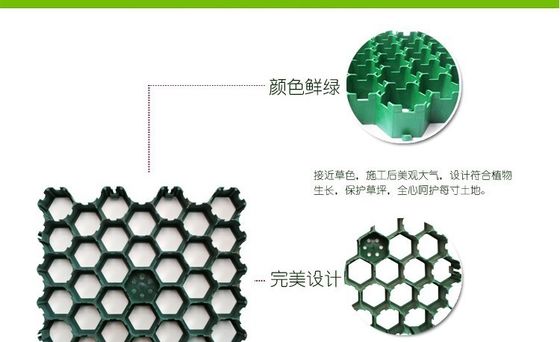 Hotel HDPE Plastic Pavers for Horse Paddock Grid Improve Your Horse's Living Space